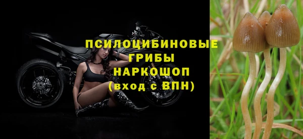 метадон Беломорск