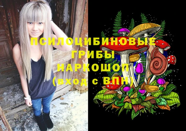 гашик Аркадак