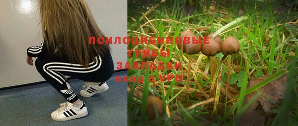 круглые Белокуриха