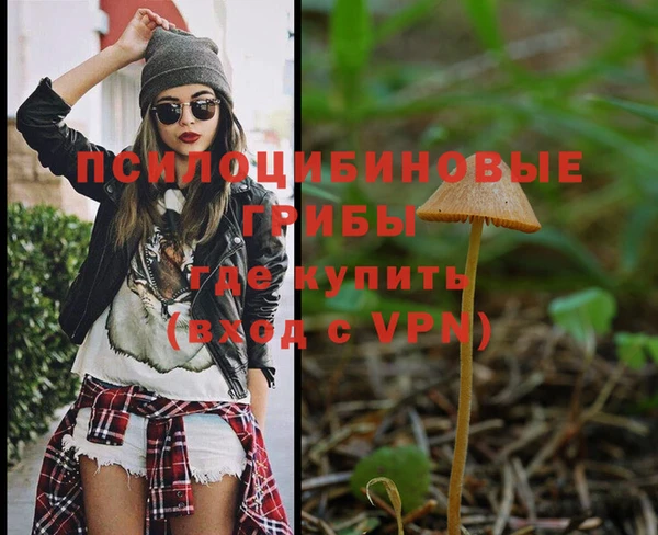 метадон Беломорск