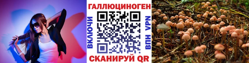 Купить  Североуральск  Галлюциногенные грибы Cubensis 