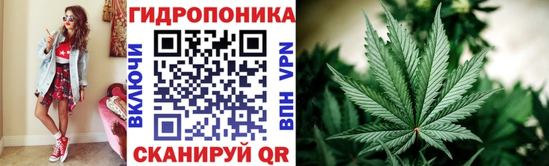 Бошки Шишки ГИДРОПОН Североуральск